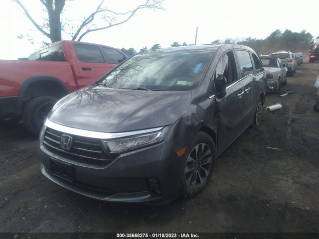 2023 Honda Odyssey, VIN: 5FNRL6H6XPB005552