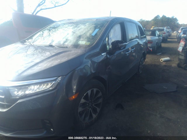 2023 Honda Odyssey, VIN: 5FNRL6H6XPB005552