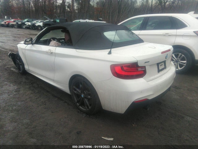 2016 BMW 2 Series, VIN: WBA1M5C54GV327279