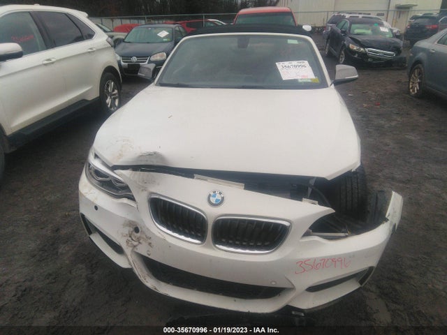 2016 BMW 2 Series, VIN: WBA1M5C54GV327279