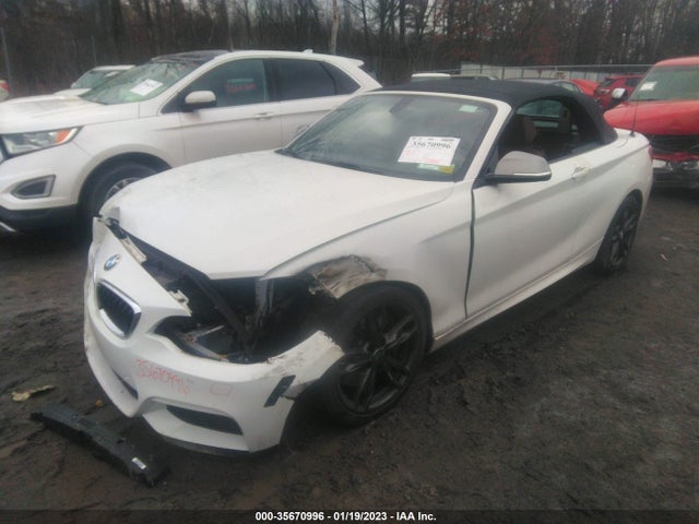 BMW 2 Series 2016 WBA1M5C54GV327279 Image 2