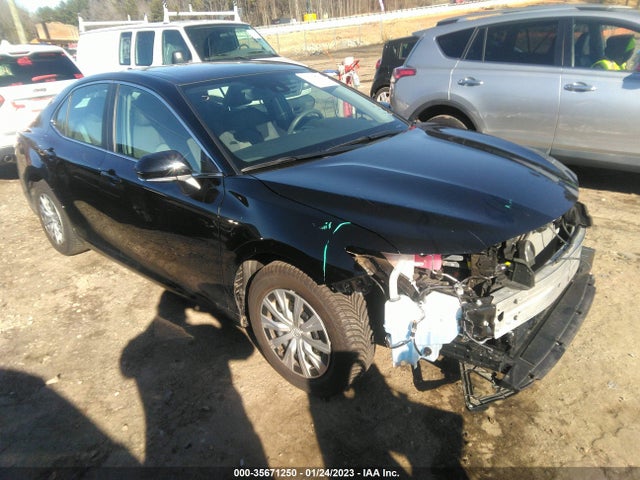2019 Toyota Camry, VIN: 4T1B31HK9KU008472