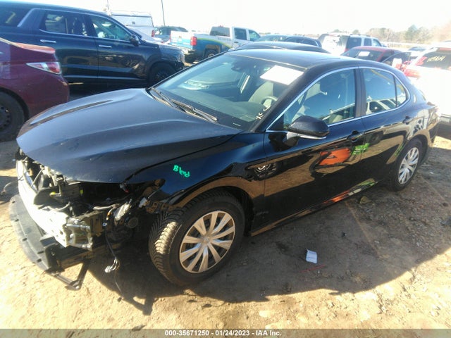 2019 Toyota Camry, VIN: 4T1B31HK9KU008472