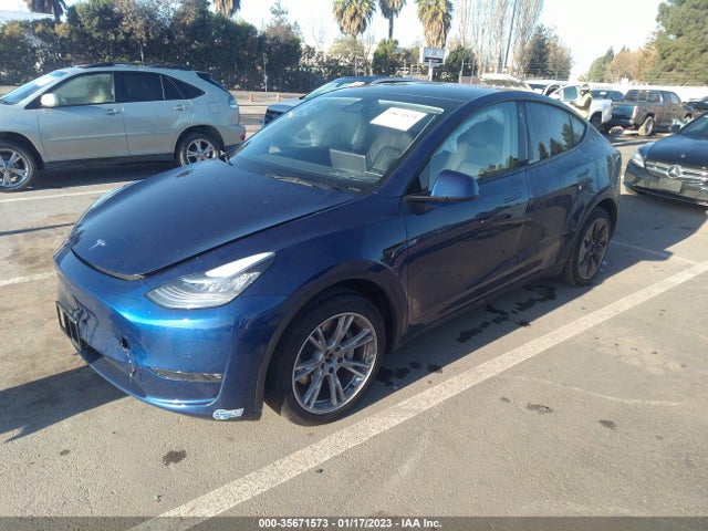 2021 Tesla Model Y, VIN: 5YJYGDEE3MF181841