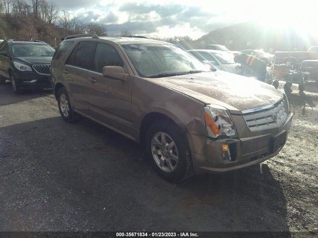 2007 CADILLAC SRX VIN: 1GYEE637270139456