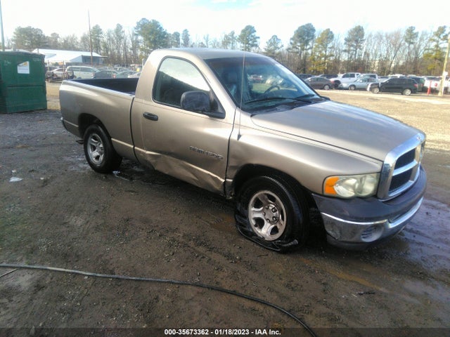 Dodge RAM 1500 2002 1D7HA16K12J244824 zdjęcie główne