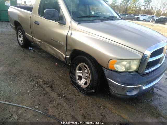 Dodge RAM 1500 2002 1D7HA16K12J244824 Image 7