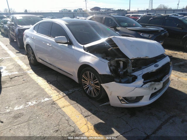 2014 Kia Cadenza, VIN: KNALN4D76E5159674
