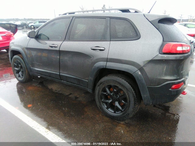 2014 JEEP CHEROKEE TRAILHAWK VIN: 1C4PJMBS8EW158916