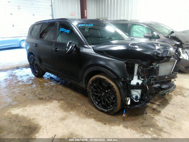 2022 Kia Telluride, VIN: 5XYP5DHC8NG282959