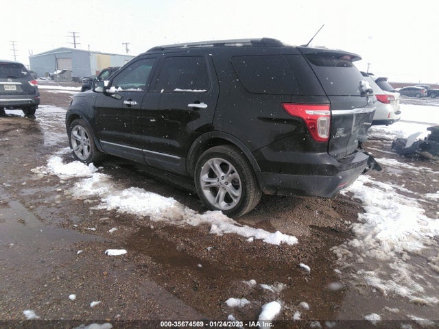 Ford Explorer Limited 2015 1FM5K7F86FGA04779 Image 3