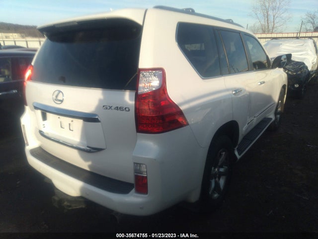 Lexus Gx 460 Premium 2012 JTJJM7FX0C5038600 Image 5