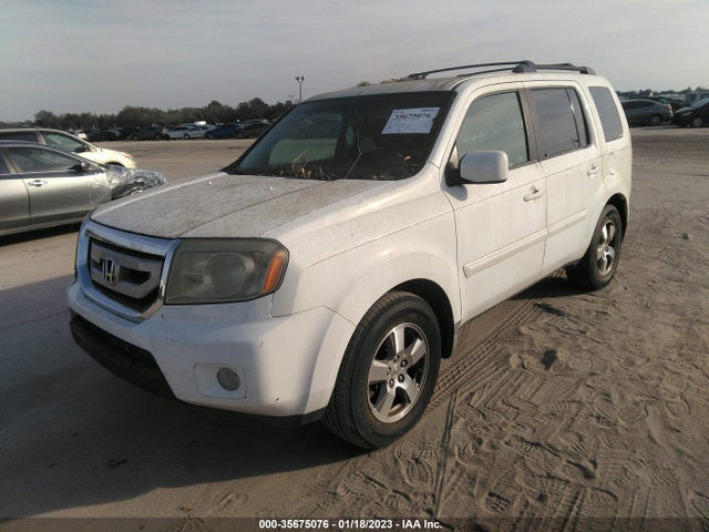 2009 HONDA PILOT EX-L VIN: 5FNYF38529B018985