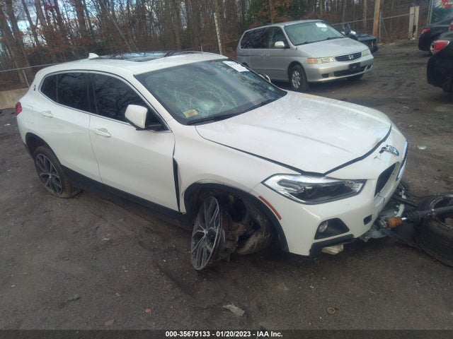 2019 BMW X2, VIN: WBXYJ5C52K5N34386
