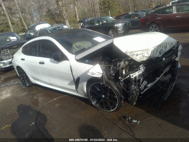 2020 BMW 8 Series Gran Coupe, VIN: WBAGV8C0XLCE12620