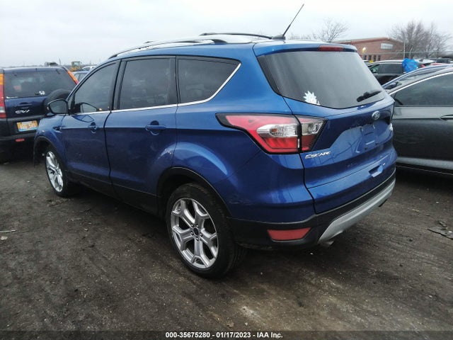 2017 FORD ESCAPE TITANIUM VIN: 1FMCU9J95HUD87177