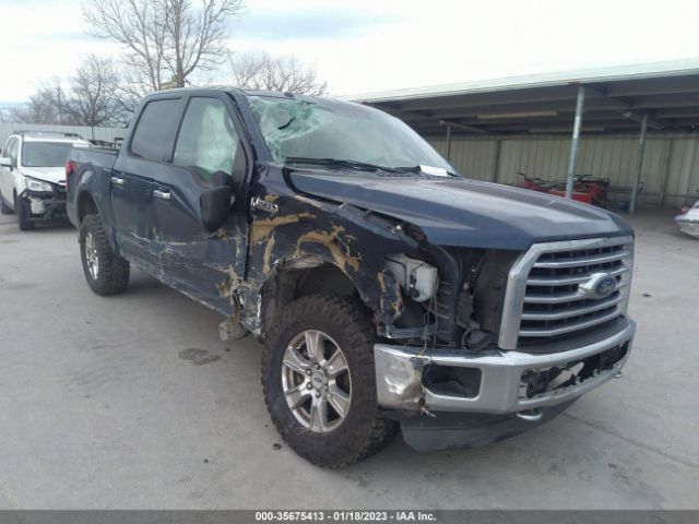 1FTEW1EF2FKD09067 Ford F-150 Xlt