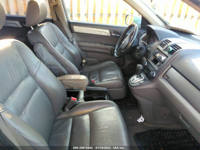 2010 HONDA CR-V EX-L VIN: 5J6RE4H77AL026431