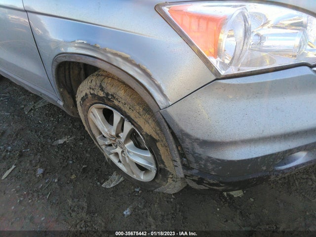 2010 HONDA CR-V EX-L VIN: 5J6RE4H77AL026431