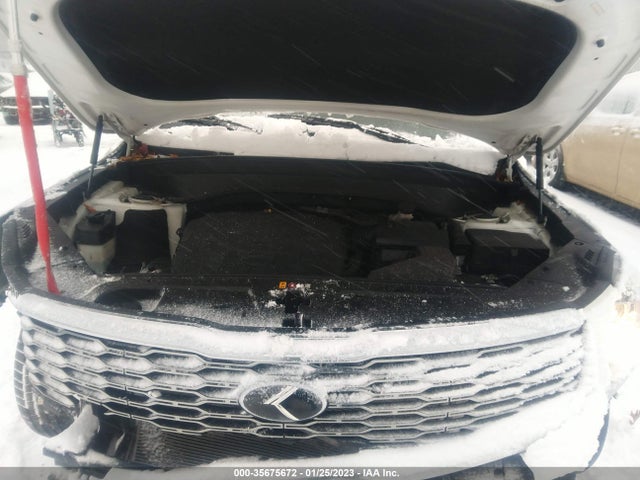 2020 Kia Telluride, VIN: 5XYP3DHC7LG001222