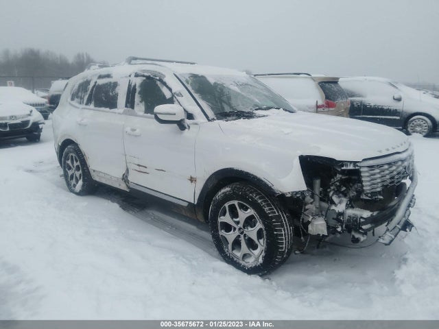 2020 Kia Telluride, VIN: 5XYP3DHC7LG001222