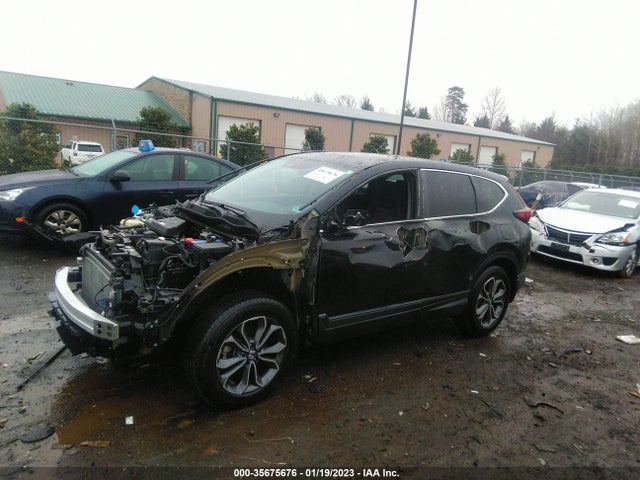 Honda CR-V EX 2020 2HKRW2H52LH692660 Image 2