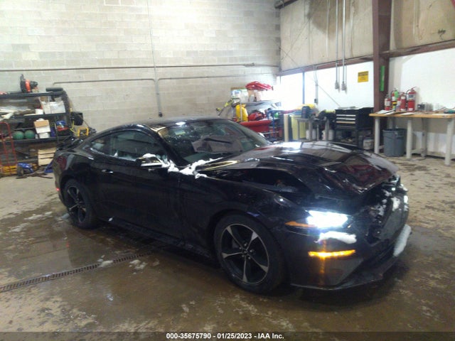 2019 Ford Mustang, VIN: 1FA6P8THXK5167600