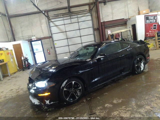 2019 Ford Mustang, VIN: 1FA6P8THXK5167600