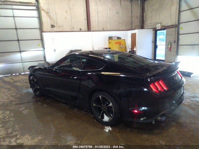 2019 Ford Mustang, VIN: 1FA6P8THXK5167600