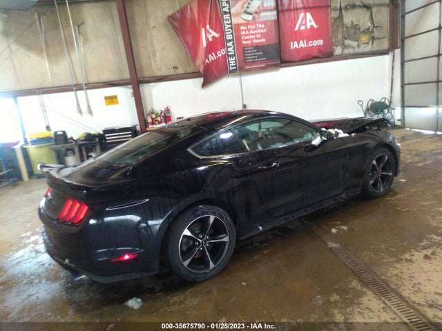 2019 Ford Mustang, VIN: 1FA6P8THXK5167600