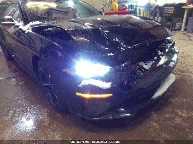 2019 Ford Mustang, VIN: 1FA6P8THXK5167600