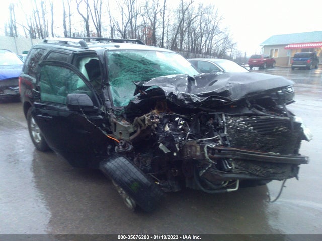 2010 FORD ESCAPE LIMITED VIN: 1FMCU9EG0AKD01445