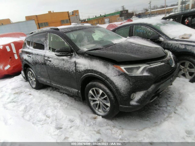 2017 Toyota RAV4, VIN: JTMRJREVXHD076892