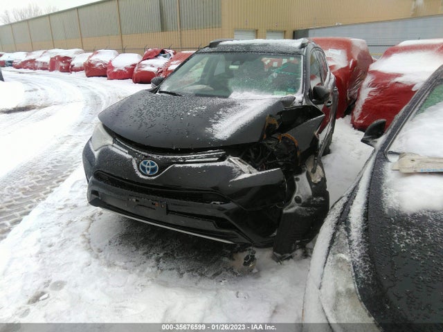2017 Toyota RAV4, VIN: JTMRJREVXHD076892