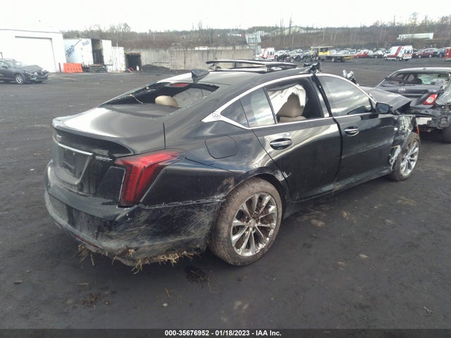 1G6DT5RK1M0108033 Cadillac Ct5 Premium Luxury