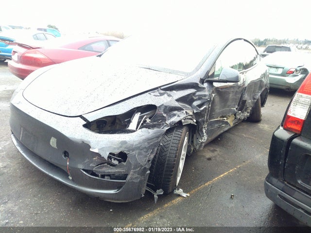 5YJYGDEE7MF271803 Tesla Model Y Long Range