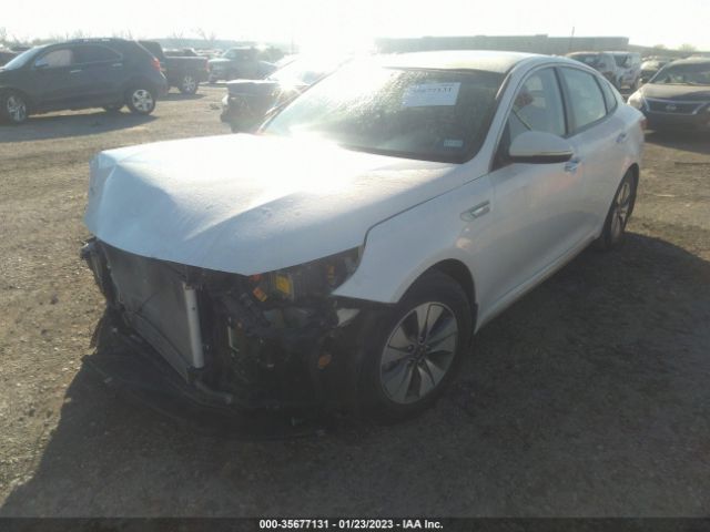 KNAGT4LC3H5005319 KIA Optima Hybrid Base
