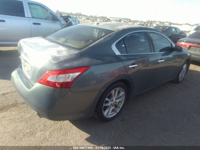 2010 NISSAN MAXIMA 3.5 SV VIN: 1N4AA5AP7AC801900