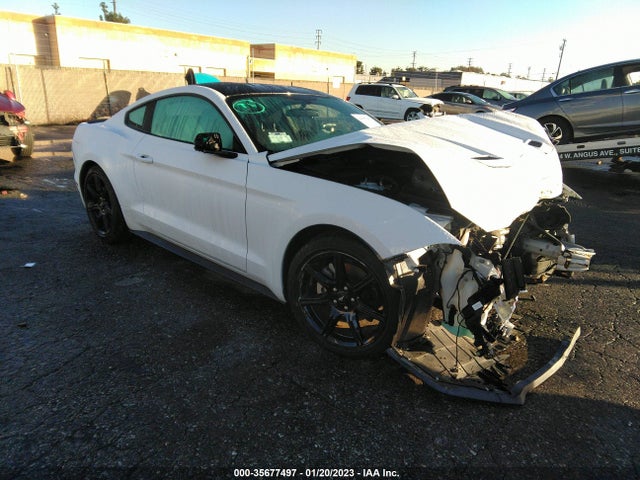2019 Ford Mustang, VIN: 1FA6P8TH5K5202530