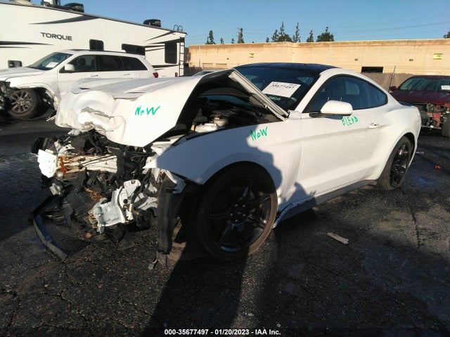 2019 Ford Mustang, VIN: 1FA6P8TH5K5202530