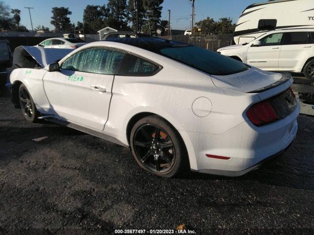 2019 Ford Mustang, VIN: 1FA6P8TH5K5202530