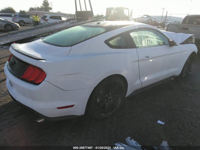 2019 Ford Mustang, VIN: 1FA6P8TH5K5202530