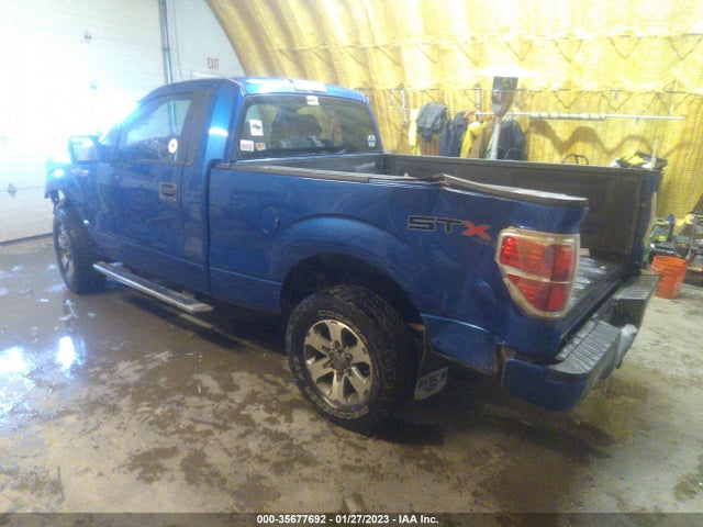 2013 FORD F-150 XL/STX/XLT VIN: 1FTMF1EF7DFA68432