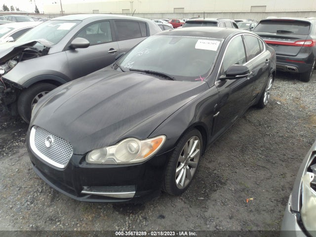 SAJWA0FB4BLR86541 Jaguar XF