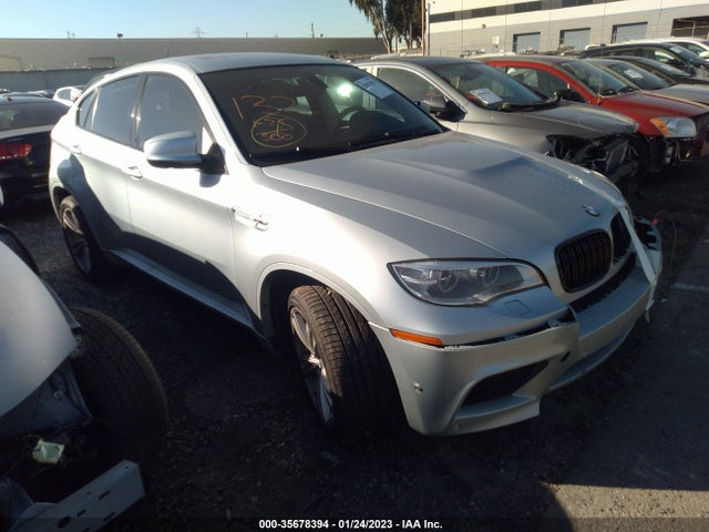 BMW X6 M 2013 5YMGZ0C52DLL29855 Image 1