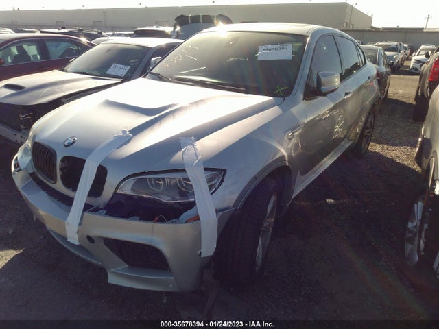 BMW X6 M 2013 5YMGZ0C52DLL29855 Image 2