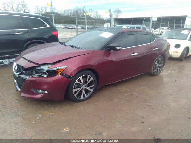 2016 Nissan Maxima, VIN: 1N4AA6AP8GC405005