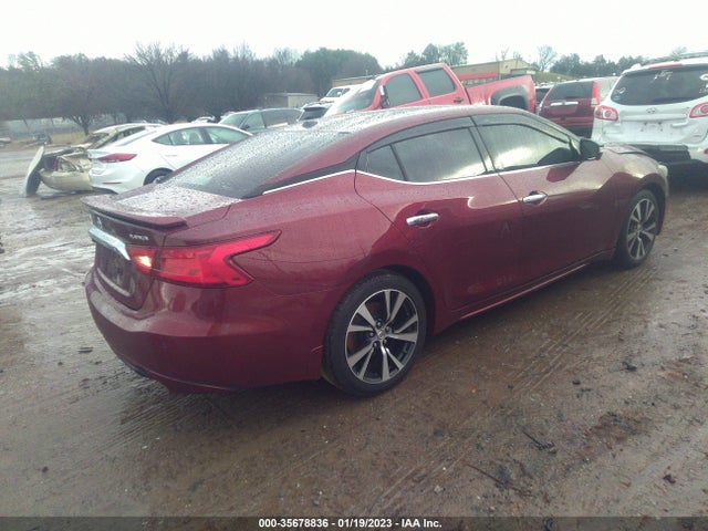 2016 Nissan Maxima, VIN: 1N4AA6AP8GC405005