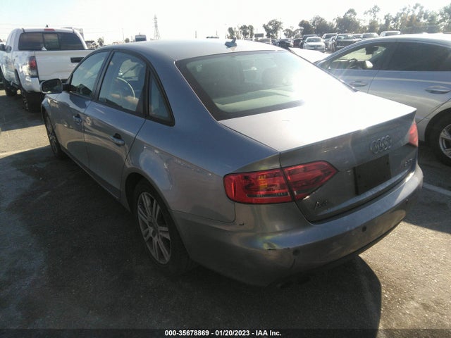 WAUAFAFL3AN007469 Audi A4 2.0t Premium