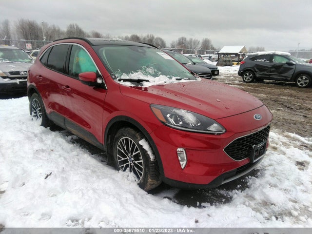 2022 Ford Escape, VIN: 1FMCU0KZ7NUA24515